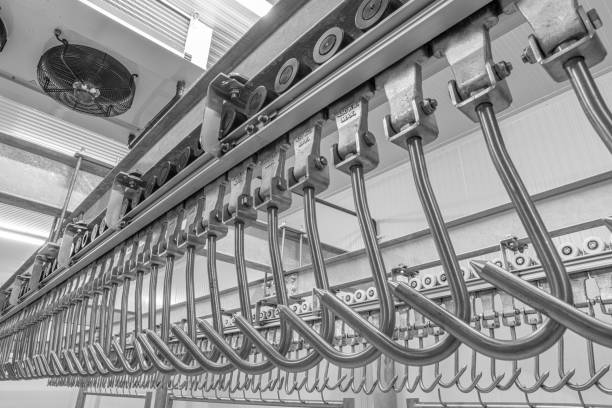 istock Industrial loading dock area inside cold storage warehouse. Meat hanging hooks hanging on the rail system. 1222773919