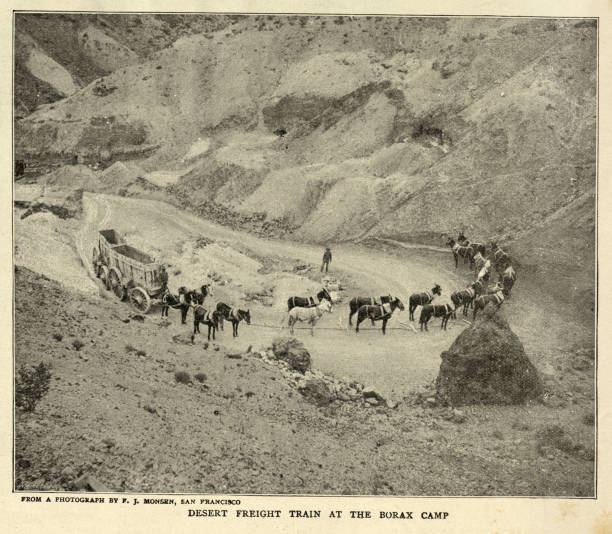 istock Twenty-mule team wagon in Death Valley, California, 19th Century 1222774072