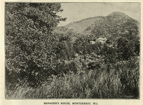 Vintage photograph of Manager's house, Montserrat, 19th Century