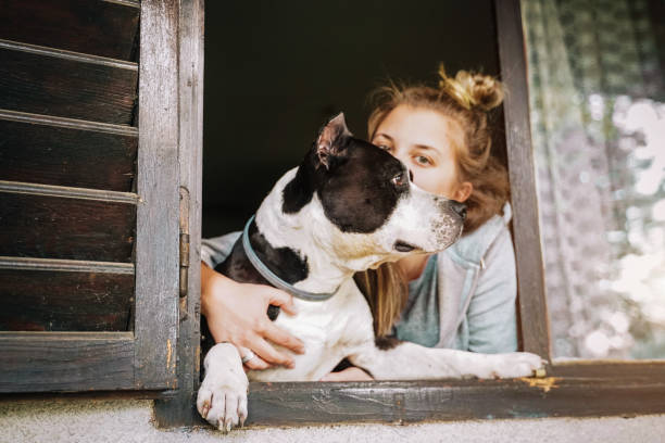 istock Dog and young female look out a home window 1222774714