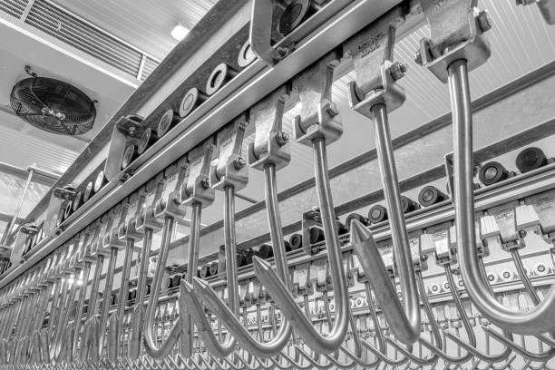 istock Industrial loading dock area inside cold storage warehouse. Meat hanging hooks hanging on the rail system. 1222774893