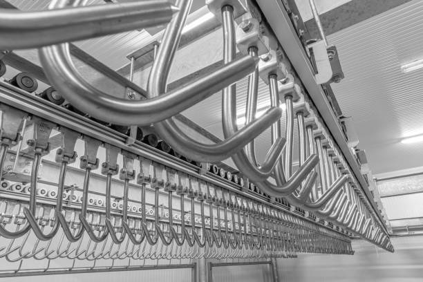 Industrial loading dock area inside cold storage warehouse. Meat hanging hooks hanging on the rail system.