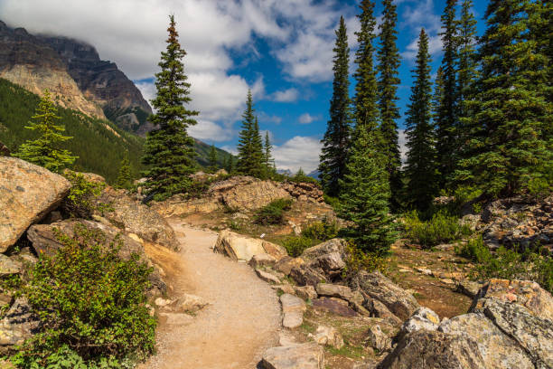 istock lake Moraine, Banff National Park, Alberta, Canada 1222776826