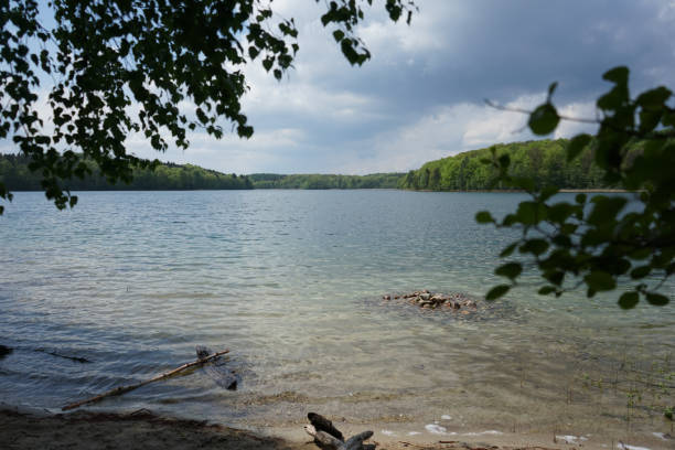 istock Crystal clear Peetschsee located in Stechlin conservation area, Brandenburg Germany 1222777026