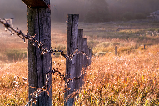 Rustic barbed wire fence and grassy meadow on foggy morning, Parkland County, rural Alberta.
