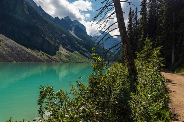 istock lake louise, banff national park, alberta, canada 1222778596