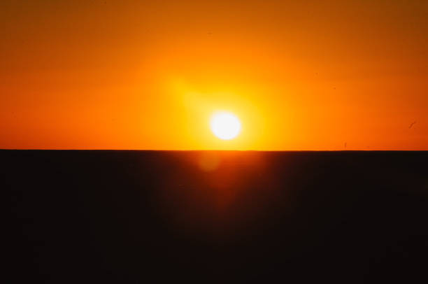 Sunset in the Sahara desert