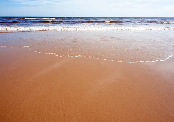 istock Receding tide on seashore beach walk on the Jurassic Coast, England, UK 1222780436