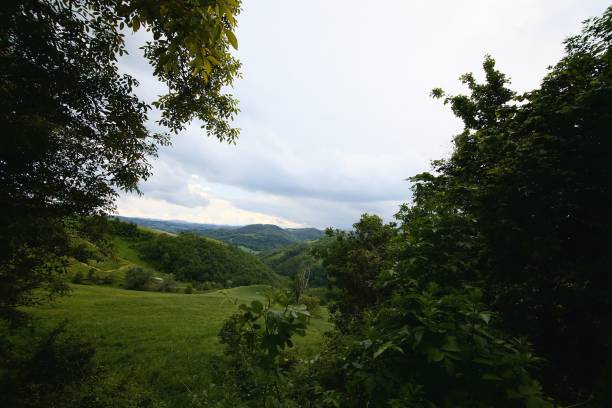 istock Slope of a hill seen through the trees 1222781925