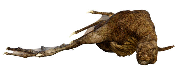 istock 3D illustration fantasy dragon on white 1222786454