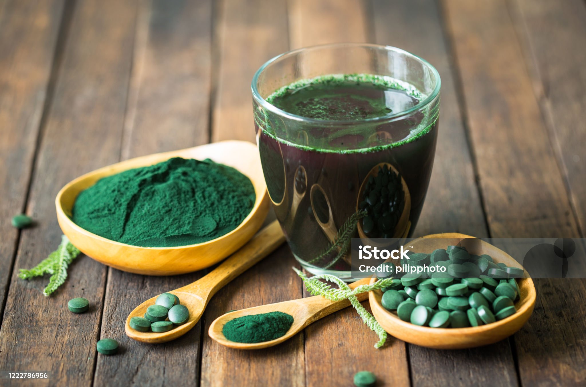 Alga Spirulina