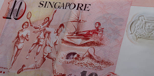 10 Singapore dollars, a close up photography A fan of 10 Singapore dollar. Currency of the City-state of Singapore. Bunch of ten Singaporean Dollars. Polymer money with sport motif on the back of the note ten singapore dollar note stock pictures, royalty-free photos & images