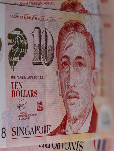 10 Singapore dollars, a close up photography A fan of 10 Singapore dollar. Currency of the City-state of Singapore. Bunch of ten Singaporean Dollars. Polymer money with the portrait of President Encik Yusof bin Ishak on the front of the note ten singapore dollar note stock pictures, royalty-free photos & images