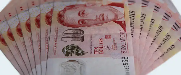 Photo of 10 Singapore dollars, a close up photography