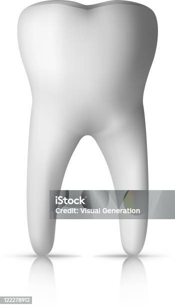 Molar Tooth Stock Illustration - Download Image Now - Anatomy, Cartoon, Clean