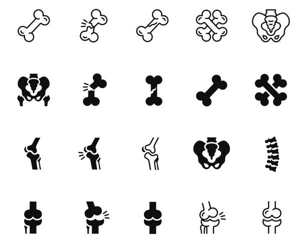 knochen-symbol-set - knochen stock-grafiken, -clipart, -cartoons und -symbole