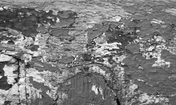 istock Abstract closeup of the wooden texture 1222796130