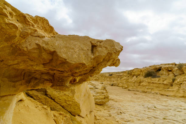 istock Landscape of a wadi in Ein Avdat National Park 1222800511