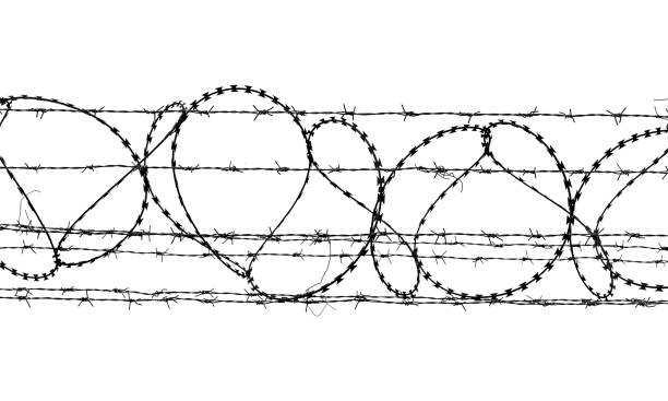 白い背景に分離された黒と白の有刺鉄線 - barbed wire fence wire danger ストックフォトと画像