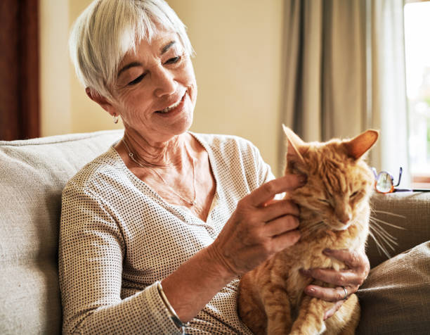 istock There's nothing quite like cat cuddles 1222803229