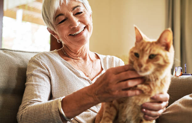 istock My cat completes my life 1222803231