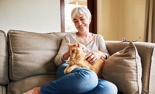 Cropped shot of a happy senior woman sitting alone and petting her cat during a day at home