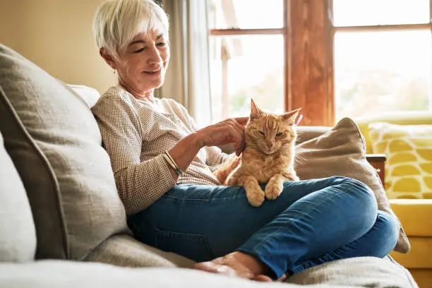 Cropped shot of a happy senior woman sitting alone and petting her cat during a day at home