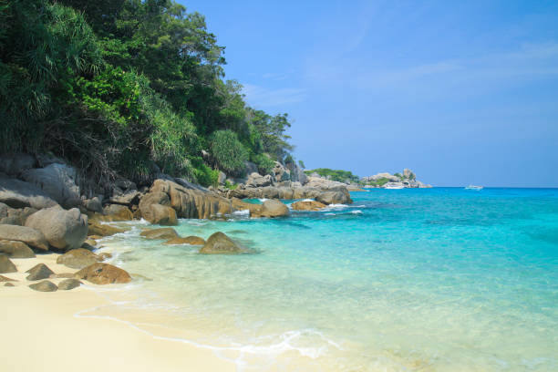 istock Tropical beach at Similan island, Phang-nga, Thailand 1222803241