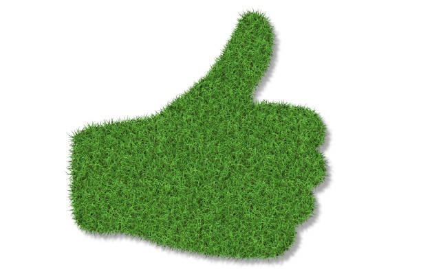 зеленая трава большие пальцы вверх значок - hand sign human hand ok sign grass стоковые фото и изображения
