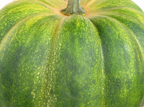 Green Cucurbita Moschata Pumpkin (Nutmeg Pumpkin) after harvest