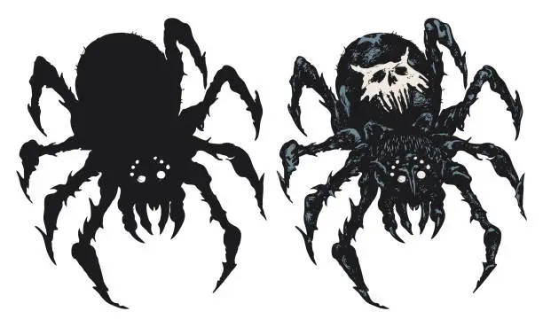 Vector illustration of Vector set of hand-drawn spiders, poisonous insect