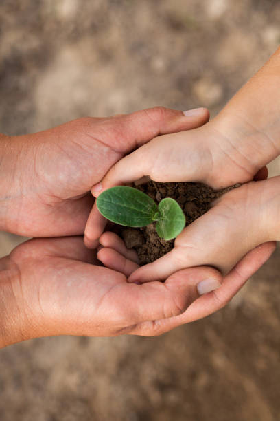istock Kid's and grown-up's hands holding a young plant. 1222806975