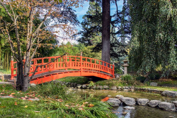 Japanese wooden bridge in Albert Kahn Park - Boulogne-Billancour stock photo