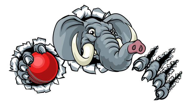 Elephant Cricket Ball Sports Animal Mascot An elephant Cricket sports animal mascot holding a ball and breaking through the background cricket team stock illustrations