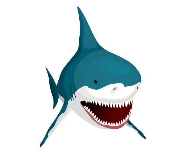 Vector illustration of Shark. Big dangerous marine predator. Toothy swimming angry shark. Underwater character of sea animal. Vector illustration of Marine wildlife
