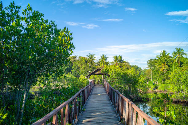 istock classic tropical landscape with palm trees 1222815339