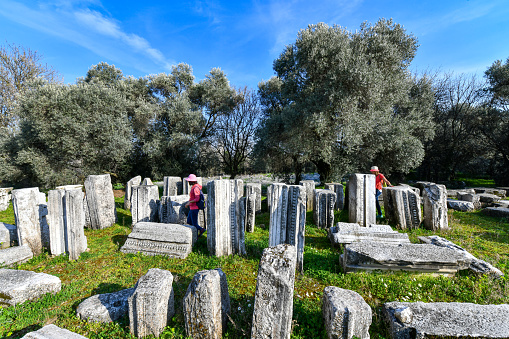 East Jerusalem, Palestine, May 3, 2019: View of the Jewish cemetery under the Mount of Olives in Jerusalem on a sunny spring day.