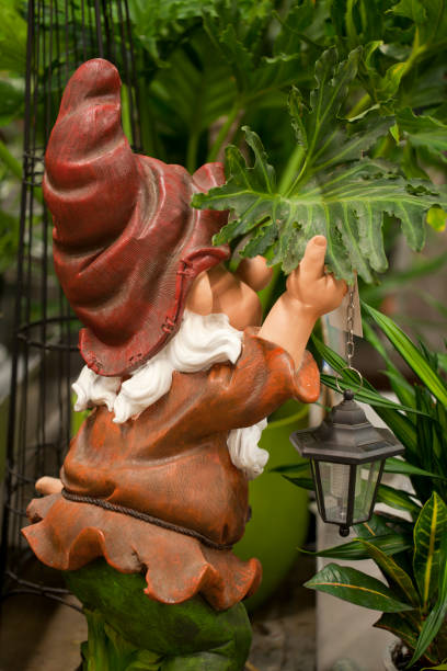 Cute dwarf peeking in a garden. Spying garden gnome decoration against a blurry background. Funny elf in the garden. Peeping Tom.
