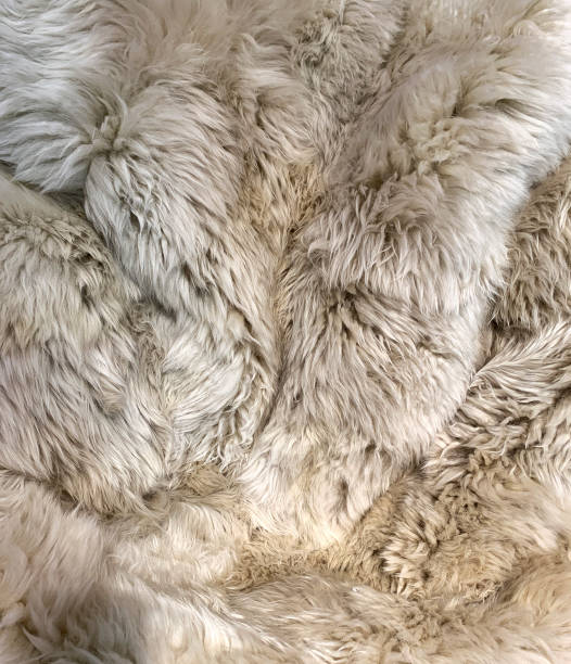 istock Close up view of fake, artificial fur background. 1222819646