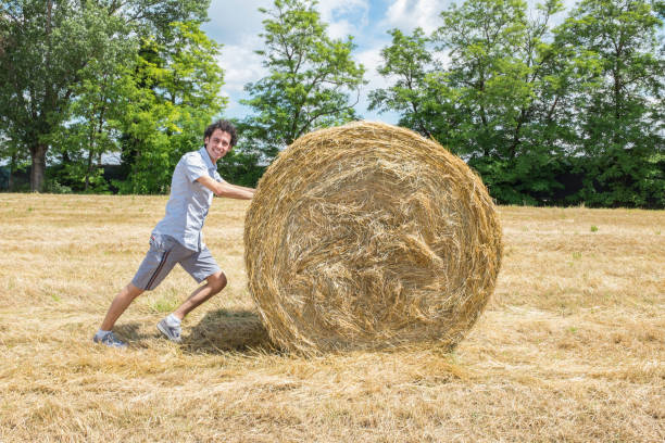 istock beautiful man in a wheat field in a summer day 1222823290