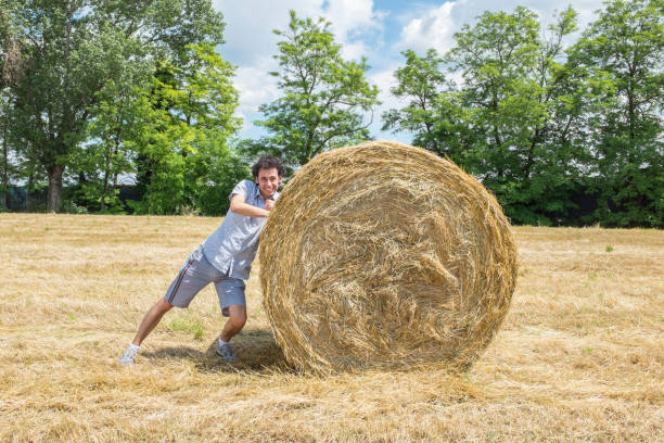 istock beautiful man in a wheat field in a summer day 1222823426