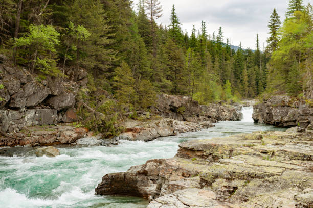 lincoln creek fluindo paisagem de água no parque nacional glaciar montana eua - swan - fotografias e filmes do acervo