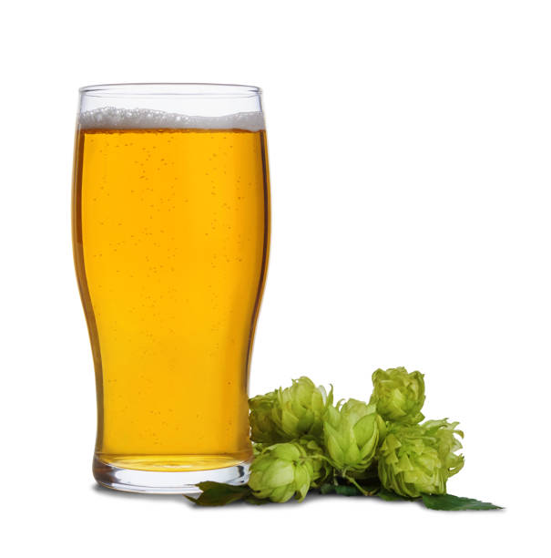 istock Glass of beer with hops on white. 1222826424