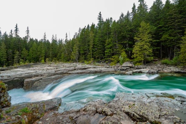 lincoln creek fluyendo paisaje acuático en el parque nacional glaciar montana usa - montana water landscape nature fotografías e imágenes de stock