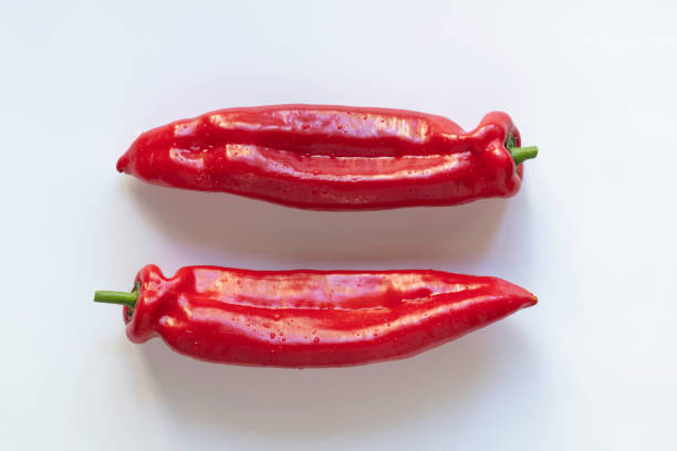 red paprika stock photo