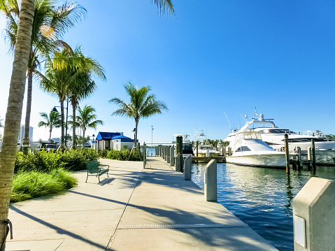 MIAMI, FLORIDA - CIRCA JUNE, 2022: Concrete pavement with barrier from dock. There are trees and light posts on the left and a view of the boats at the marina on the right.