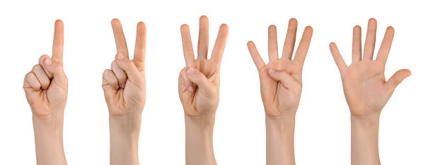 istock Child's hands showing with fingers numbers 1222832024