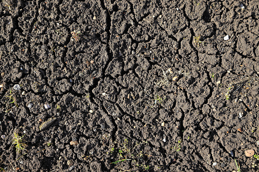 cracks in the wet ground in a field in spring