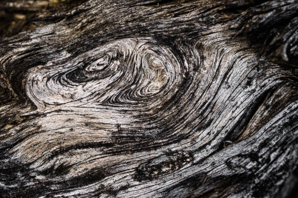 istock old cracked wood with visible details. Texture 1222833631
