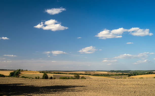 istock Field plowed after harvesting. 1222835974